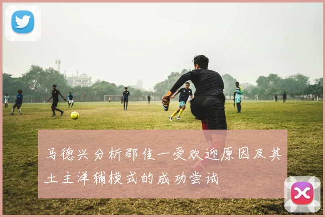 马德兴分析邵佳一受欢迎原因及其土主洋辅模式的成功尝试