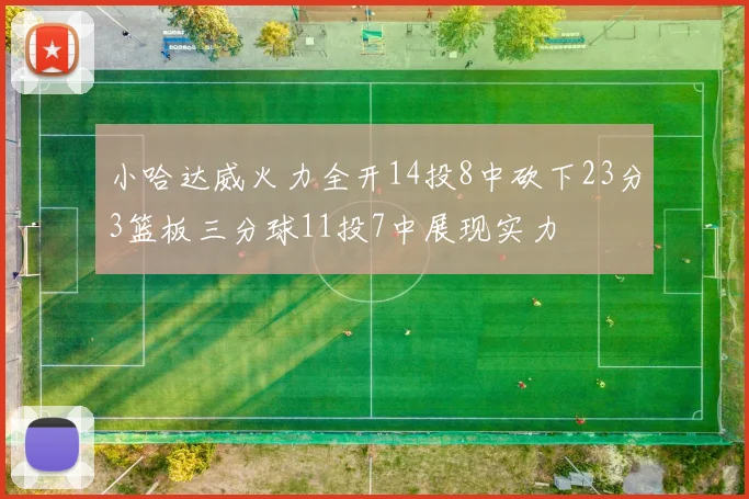 小哈达威火力全开14投8中砍下23分3篮板三分球11投7中展现实力
