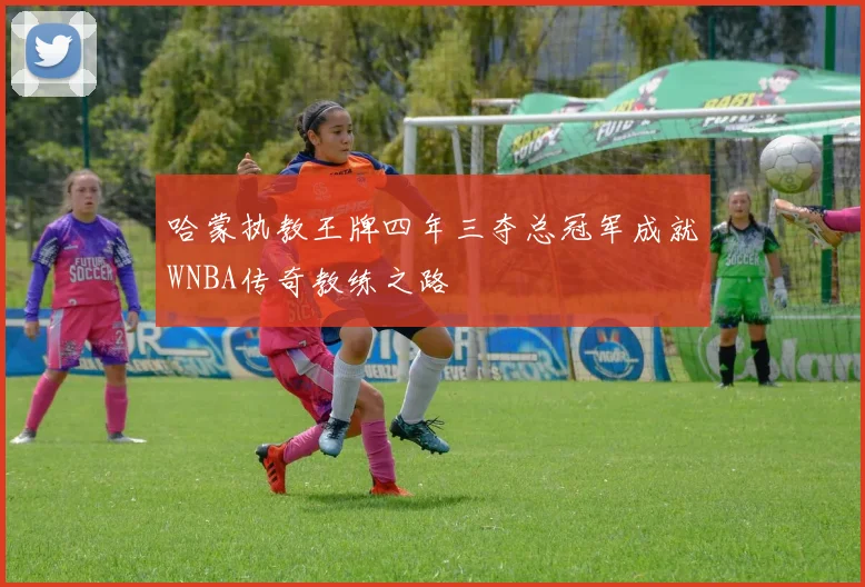 哈蒙执教王牌四年三夺总冠军成就WNBA传奇教练之路