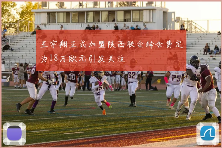 王宇翔正式加盟陕西联合转会费定为18万欧元引发关注