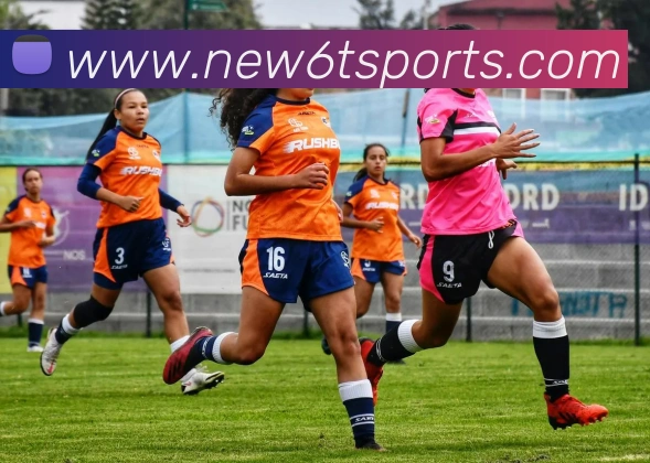 6t体育发展历程